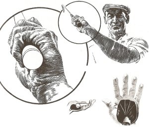 Hình trên: Tay cầm bàn tay trái ở đỉnh của backswing.Hình dưới: Hai hình giải phẫu cho thấy cấu trúc cơ của bàn tay trái.